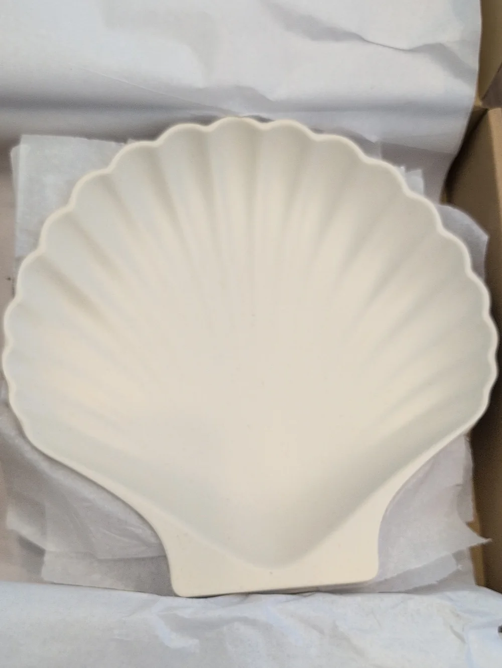 Jilly Box Shell Plate Set - Picture 3 of 3